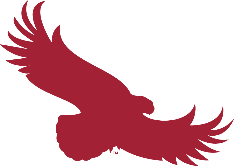 St. Joseph's Hawks 2018-Pres Alternate Logo iron on transfers for clothing...